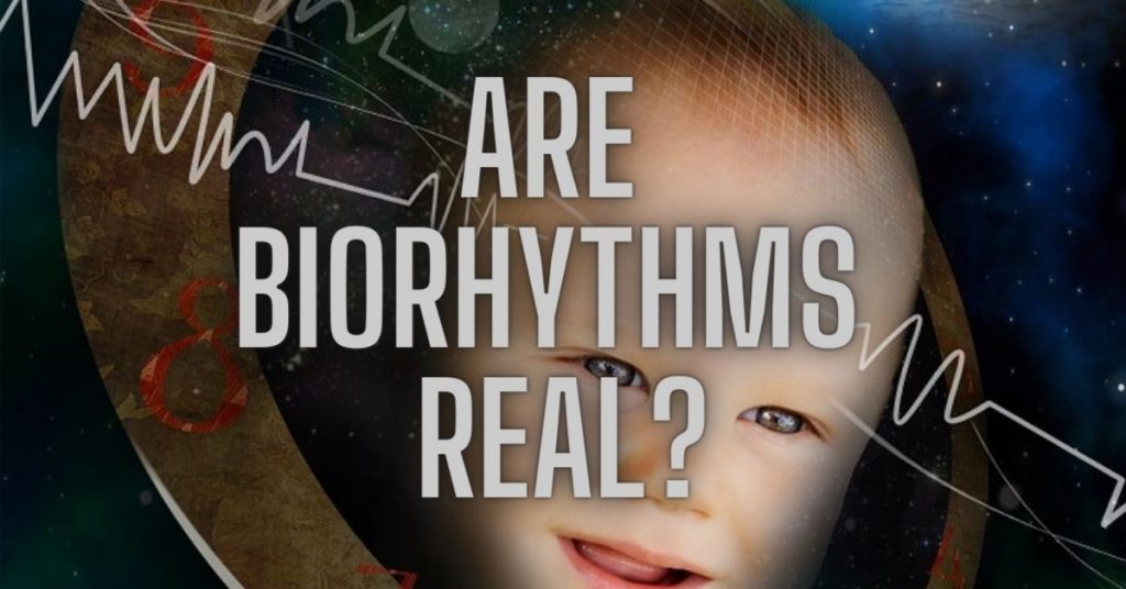 are biorhythms real