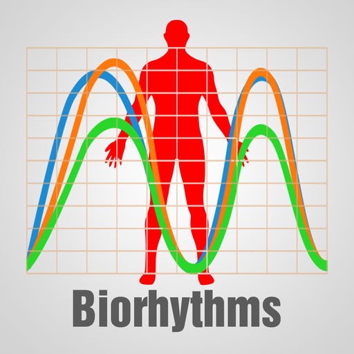 The Rhythm of Life Biorhythms