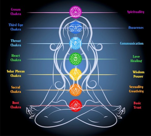 seven chakras