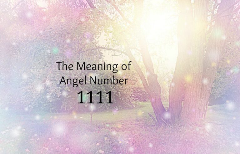 what-does-angel-number-1111-mean-biorhythm-reading